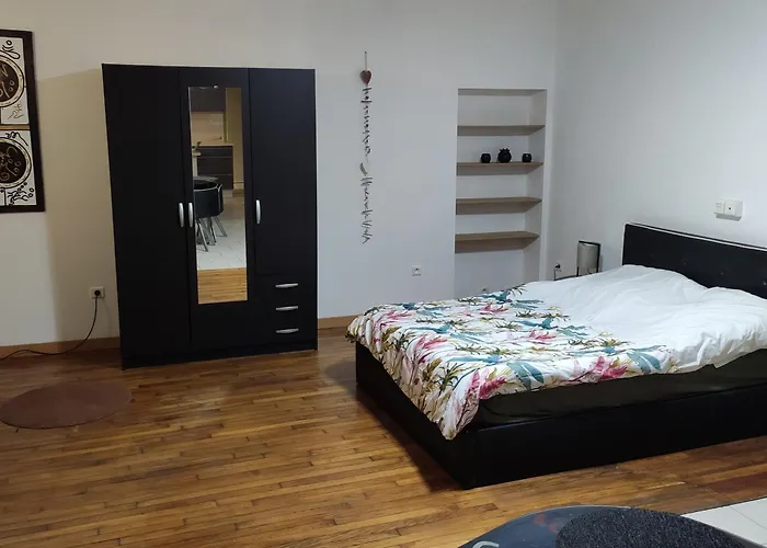 アパート Meuble Centre Sci Flym エピナル