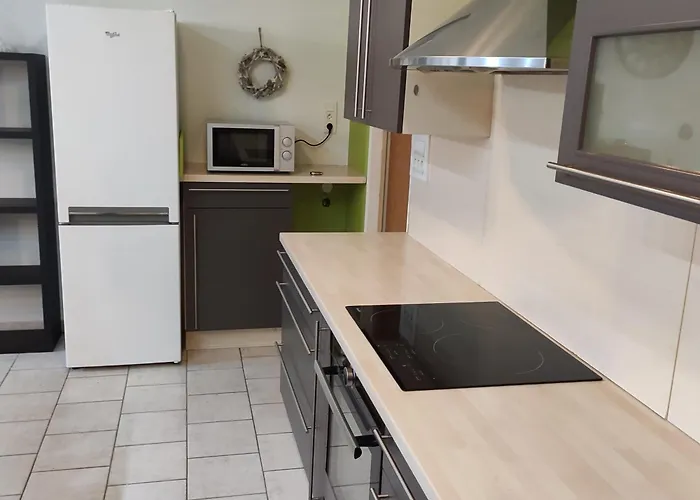 アパート Meuble Centre Sci Flym